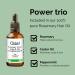 Buy Rosemary Organic Castor Oil & Hair Strengthening Oil for All Hair Types - Promotes Hair Growth | 30ml - Buy Online on GoSupps.com