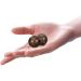 GLEAVI 2 PC Massager Gymnastic Balls - Hand Roll Massage Balls for Elderly | Perfect for Pain Relief & Relaxation - Buy Online on GoSupps.com