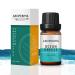 Ocean Breeze Fragrance Oil Premium Grade Scented Oil for Aroma Diffusers Perfume Candle and Soap Making - 10ml