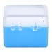 20pcs Plastic Dental Diagnostic Boxes with Foam | Perfect Storage for Dental Bridges - International Shipping - Buy Online on GoSupps.com