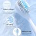 Rechargeable Travel Toothbrush for Adults - 8 Brush Heads 6 Modes IPX7 Waterproof - Pink Electric Toothbrush for Home & Travel - Buy Online on GoSupps.com
