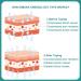 DIMORA Kinesiology Tape - Strong Support for Sports Recovery & Pain Relief - 2 x 16ft Beige Roll - Buy Online on GoSupps.com