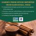 SPICE TRAIN Cinnamon Powder 200g/7oz - Non-GMO & Raw Ground Cinnamon for Cooking, Smoothies, Lattes & Tea - Buy Online on GoSupps.com
