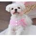 Petroom Pink Stars Dog Dress | Small Dogs & Cats Apparel (Medium) - Buy Online on GoSupps.com