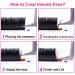 Self-Fan Eyelash Extensions 0.07 C Curl 8mm - Easy Volume Lashes for Stunning Eyes | International Shipping Available - Buy Online on GoSupps.com