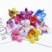 12 x Bohemia Orchid Flower Clips - Hawaiian Wedding & Beach Party Hairpins for Women & Girls - Buy Online on GoSupps.com
