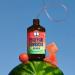 Health-Ade Watermelon Kombucha Tea - Organic Fermented Drink with Probiotics - Gut Health Support - Non-GMO, Vegan, Gluten-Free - 12 Pack (16 Fl Oz Bottles) - Buy Online on GoSupps.com