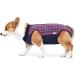 Heywean Dog Recovery Suit - After Op Castration Wound Protection for Dogs | Professional Medical Shirt | Marine Plaid | Large Size - Buy Online on GoSupps.com