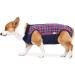 Breathable Dog Diviser for Surgical Wounds | Anti-Losing Cone & E-Neck Band Alternative | Size M - Navy Blue (1 Pack) - Buy Online on GoSupps.com