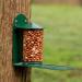 Green Metal Wild Squirrel Feeder - Garden squirrel feeding for wildlife Discourage squirrels from raiding and damaging bird feeders by providing them with their own dedicated feeder. - Buy Online on GoSupps.com