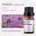 GREENSLEEVES Verbena and Violet Essential Oil 2x10ml Pure Plant-Based Fragrance Oil for Aromatherapy Essential Oils for Diffuser Air Freshener Massage Bath Bomb Scented Candle Soap Making - Buy Online on GoSupps.com