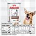 AETN Creations Bundle Pack of 2x400g Wet Gastrointestinal Veterinary Diet Dog Food for Adult Dogs with Long or short-term Digestive Sensitivities plus AETN Jerky Treat - Buy Online on GoSupps.com