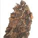 Th chinois naturel Fuding Shoumei vieux th blanc 350g