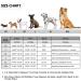Queenmore Dogs Wowers - RipStop Dog Life Jacket | Knuffelwuff Wallpasting for Medium & Large Dogs - Safe Kayaking & Swimming (Gray) - Buy Online on GoSupps.com