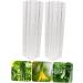 Toddmomy Garden Fruit Mould 8 Pcs Vegetable Shaping Mold Cucumbers Fruit Mold Fruit and Vegetable Suite Gourd - Buy Online on GoSupps.com