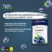 Wonder Toothpick Refill Pack - Sugar-Free Blueberry Flavored Toothpicks for Fresh Breath Nail Chewing & Smoking Cessation - Plastic-Free Chewing Gum Alternative - Buy Online on GoSupps.com