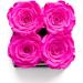 Soho Floral Arts | Roses in A Box | Genuine Roses that Last for Years (White Square 4ct  Radiant Pink) | Mothers Day Gifts White Square 4ct. Radiant Pink - Buy Online on GoSupps.com