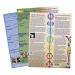 Ohm Therapeutics Tuning Fork Treatment Charts (3)  for Massage Therapy, Energy Practitioners, Chakra Balancing & Sound Therapy 3-chart Bundle