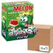 FINI WATERMELON Liquid Filled Bubblegum Retro Sweets & Candy Water Melon (200) - VSTAR 1