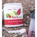 Red Leaf Pre Workout Energizer Powder with BCAA's and Amino Acids - Natural Cranberry Lime Flavor | 30 Servings - Buy Online on GoSupps.com
