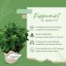 Buy GreenHealth 5 ml Peppermint Supreme Essential Oil | 100% Pure & Uncut | International Shipping Available - Buy Online on GoSupps.com