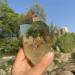 Natural Rough Citrine Tower Crystal Crafts Rough Citrine Wand Natural Stone