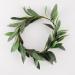 Beaupretty Green Leaf Headband Artificial Green Leaf Crown Eucalyptus Flower Wreath Floral Headband for Women Girls Bridal Bohemian Headpiece Photo Prop - Buy Online on GoSupps.com