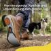 Scholl Liquiflex Comfort Insoles - Extra Support & Shock Absorption Size L Memory Foam Smell-Inhibiting Work Shoe Comfort - 1 Pair - Buy Online on GoSupps.com