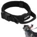 Pettec dog collar made of neoprene & nylon collar with handle for small & large dogs softly padded (S-XL) extremely robust & water-repellent adjustable set collar & drag liner collar m (43-52 cm) black