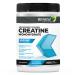 Renew Actives Creatine Monohydrate Powder Ultimate Post or Pre Workout Powder for Muscle Growth Mass Gainer and Increased Strength 100% Pure Creatine Powder 5g per Serving/ 60 Serving