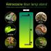 Adjustable Reptile Lamp Stand Holder - Optimal Habitat Lighting for Hermit Crayfish Bearded Dragons Turtles Geckos & Lizards (Black) - Buy Online on GoSupps.com