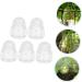 GANAZONO 10 Pcs Vegetable Plastic Fruit Fruits Ginseng Fruit Cucumber Modeling 7.6x5.6cmx2pcs Transparentx2pcs - Buy Online on GoSupps.com