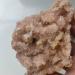 Gift Natural Stone Calcite Crystal Cluster Specimen Crystal Stone Collection 250-300g - Buy Online on GoSupps.com