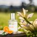 KtafaEDP Eau de Parfum - Ambery Vanilla - Inspired by B-l.a-c-k Op-ium - Feminine - 1.7Oz (50ml) - Buy Online on GoSupps.com