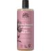 Dare to Dream - Wild Rose Shampoo Organic