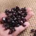 Natural Crystals and Stones 100g 7mm-9mm Natural Red Garnet Quartz Stone Gravel Ornaments for Gift for Decoration kaixun - Buy Online on GoSupps.com