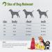 Ultra-Light 100% Waterproof Dog Rain Coat with Hood & Collar Hole - Reflective Strip for Medium to Large Dogs - Yellow 6XL - Buy Online on GoSupps.com