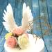 5 Pcs Angel Wing Cake Toppers White Feather Cupcake Topper Happy Birthday Party Cake Decor Baby Shower Cupcake Toppers Anniversary Wedding Cake Decorations - Buy Online on GoSupps.com