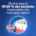 Fixodent Plus Cr me Adh sive Pour Proth ses Dentaires Barri re Anti-Particules Maxi Pack Go t Neutre 57g - Buy Online on GoSupps.com