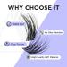 Beyelian C Curl Cluster Eyelashes - 48 PCS DIY Individual Lash Extensions 0.07mm 16mm Super Thin Black Band - Twin Flowers - Buy Online on GoSupps.com