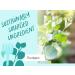 Babo Botanicals Eucalyptus Remedy Shampoo & Wash - Eucalyptus & Rosemary Oils - EWG Verified, Vegan & Cruelty-Free - 16 fl. oz - Buy Online on GoSupps.com