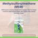INVIGOFLEX MSM - Methylsulfonylmethane (MSM) (60 caplets) - Buy Online on GoSupps.com