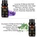 Aromatherapy Lavender Essential Oils Set 100% Pure Eucalyptus Scent Essential Oils Set 2X10ml Therapeutic Grade Eucalyptus Aromatherapy Essential Oils Lavender Fragrance Kit for Diffuser Humidifier - Buy Online on GoSupps.com
