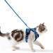 Cat dishes with a leash breakproof cat line set adjustable soft kitten vest with reflective stripes breast dishes for small kitten (blue XXS) blue XXS