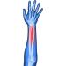 Soles Wrist Splint Brace with Thumb Stabilizer for Right Hand - SLS510R | International Shipping Available - Buy Online on GoSupps.com