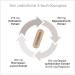Prostavent Plus - Prostate Support Capsules with Pumpkin Seed Saw Palmetto Nettle & Pomegranate - 60 Count - International Shipping Available - Buy Online on GoSupps.com