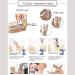 Affitto Ed Portable Extracorporeal Shock Wave Therapy Device | 7 Massage Heads for Deep Tissue Muscle Relief | Chronic Pain & Muscle Massage Solution - Buy Online on GoSupps.com