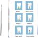Symphonyw Stainless Steel Dog Calculus Remover - 2PCS Dental Teeth Cleaning Tools - Buy Online on GoSupps.com