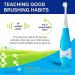 Brush Baby BabySonic Electric Toothbrush for Ages 0-3 - Smart LED Timer, Gentle Vibration - 2 Sensitive Brush Heads (Blue) - Buy Online on GoSupps.com