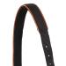 Buy Premium Neoprene Halter for Horses | Adjustable Stable Halter for Thoroughbred & Warmblood | Black/Rose Gold Cob Size - Buy Online on GoSupps.com